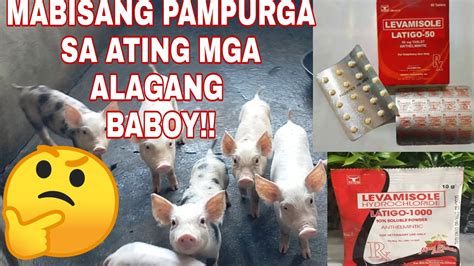 pampurga sa tuta|PINAKAMABISANG PAMPURGA SA .